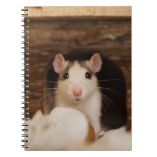 Carnet Cute rat