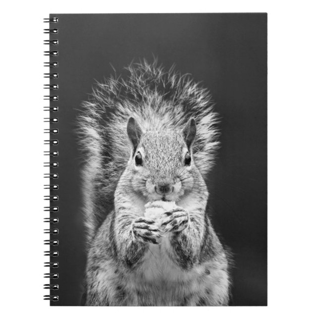 Carnet Cute Squirrel Wildlife Photographie noir et blanc (Devant)