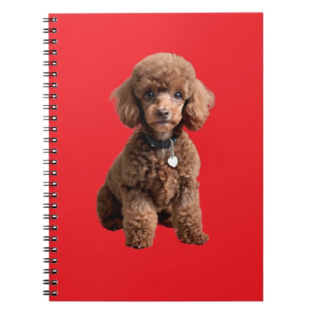 Carnet  Cute Teacup Poodle Red Folder (Devant)