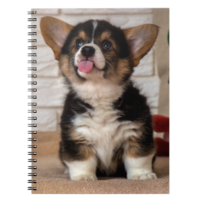 Carnet Cute Tri couleur Pembroke Welsh Corgi Chien Chien  (Devant)