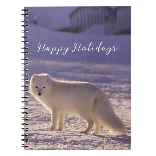 Carnet Cute White Arctic Fox neige hiver Photographie (Devant)