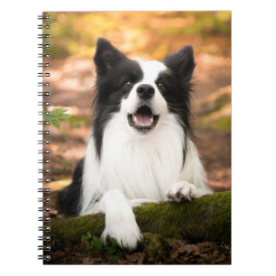 Carnet Cutest Baby Animals Black and White Border Colli