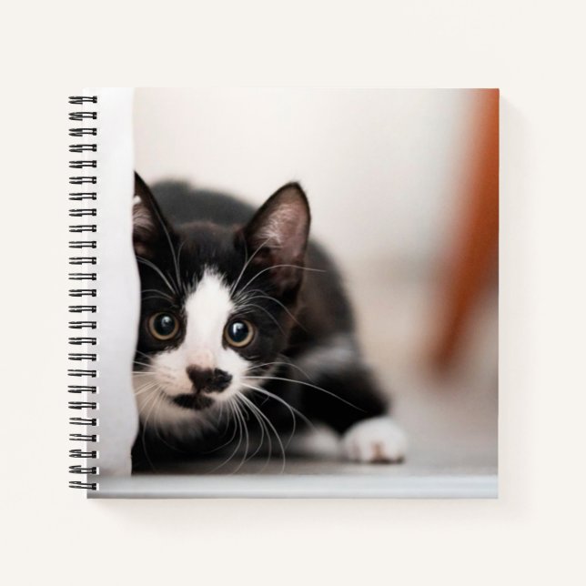 Carnet Cutest Baby Animals | Black & White Kitten (Devant)