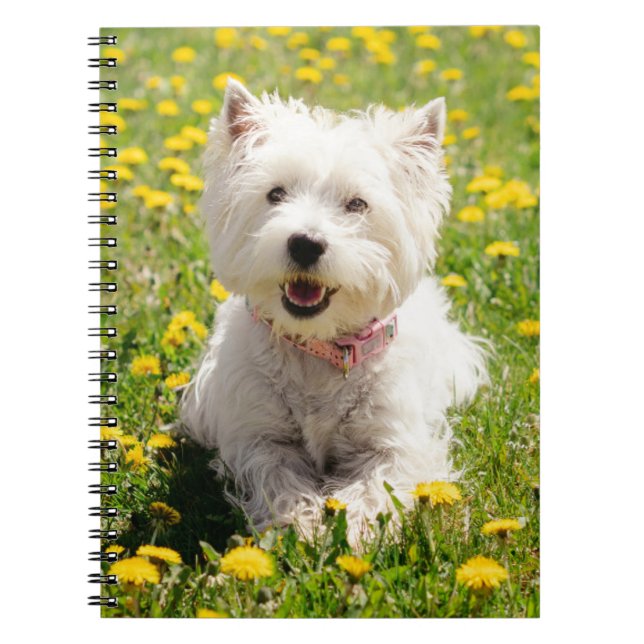 Carnet Cutest Baby Animals | Westie Dog in Dandelions (Devant)