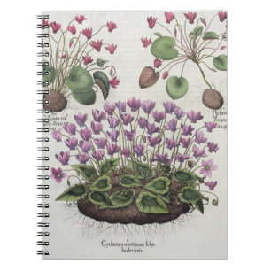 Carnet Cyclamen : hederaceis de foliis du serotinum