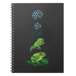 Carnet Cycle de vie Grenouille Métamorphose Oeuf Tadpole