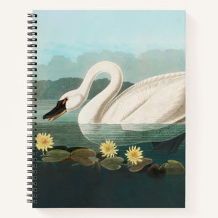 Carnet cygne audubon cygnes d'eau blanche