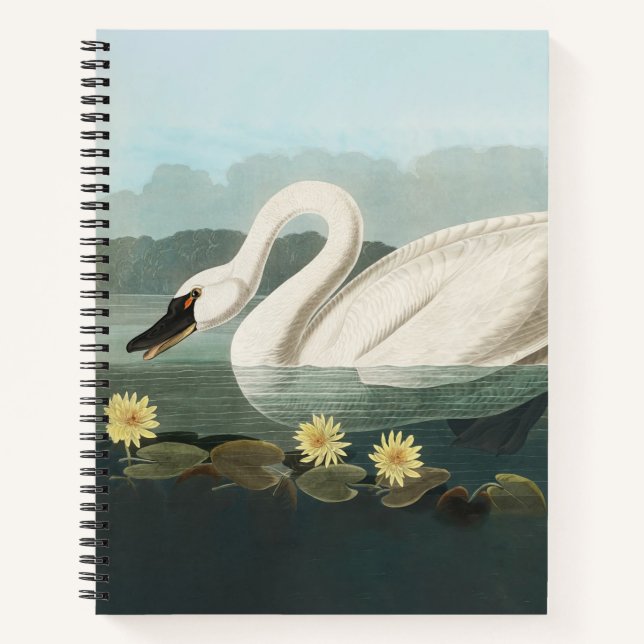 Carnet cygne audubon cygnes d'eau blanche (Devant)