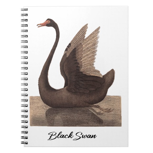 Carnet Cygne noir 1792 (Devant)