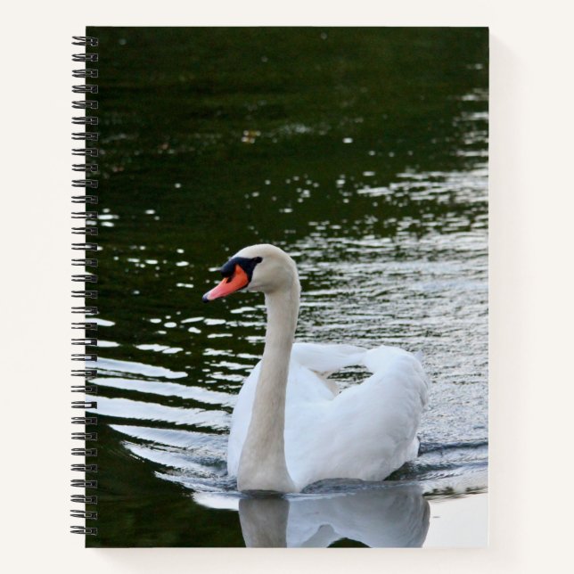 Carnet Cygne tuberculé élégant (Devant)