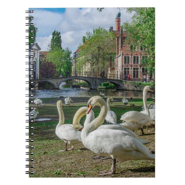 Carnet Cygnes blancs dans le centre de Bruges (Devant)