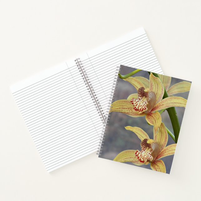 Carnet Cymbidium Orchidées Florales Tachetées Rouges (Intérieur)