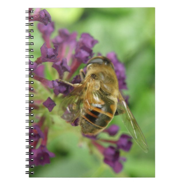 Carnet d'abeilles domestiques et de fleurs pourpre (Devant)