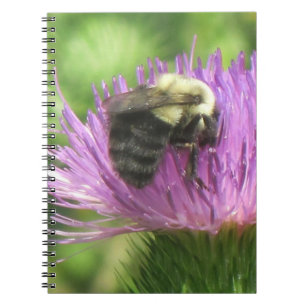 Carnet d'abeilles et de chardon