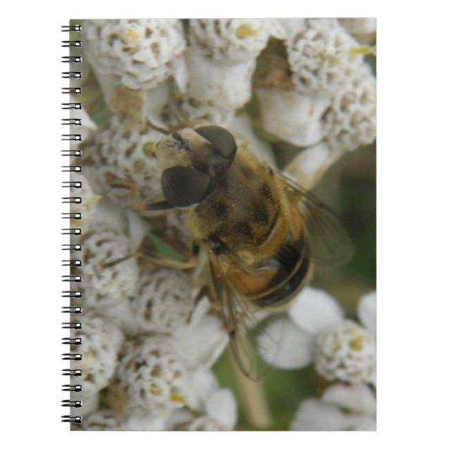 Carnet d'abeilles et de fleurs (Devant)