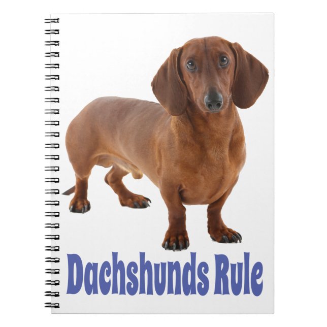 Carnet Dachshund Puppy Dog Blue Love (Devant)