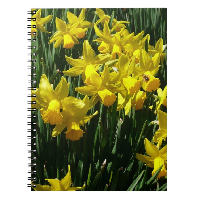 Carnet Daffodiles Jaunes I Fleurs De Printemps Cheveux (Devant)