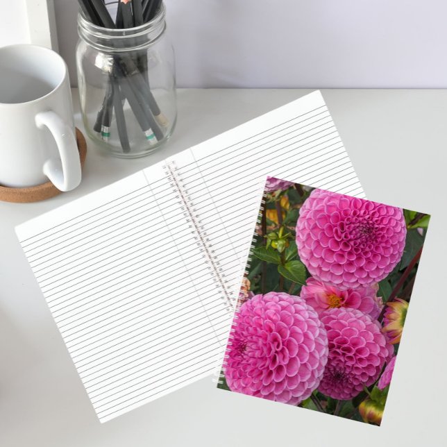 Carnet Dahlias à Balle Rose Floral (In Situ)
