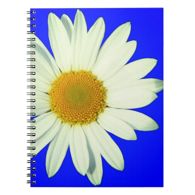 Carnet Daisy (Devant)