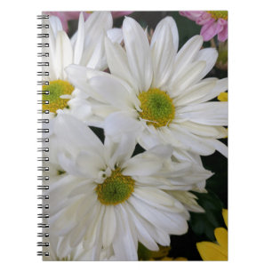 Carnet Daisy