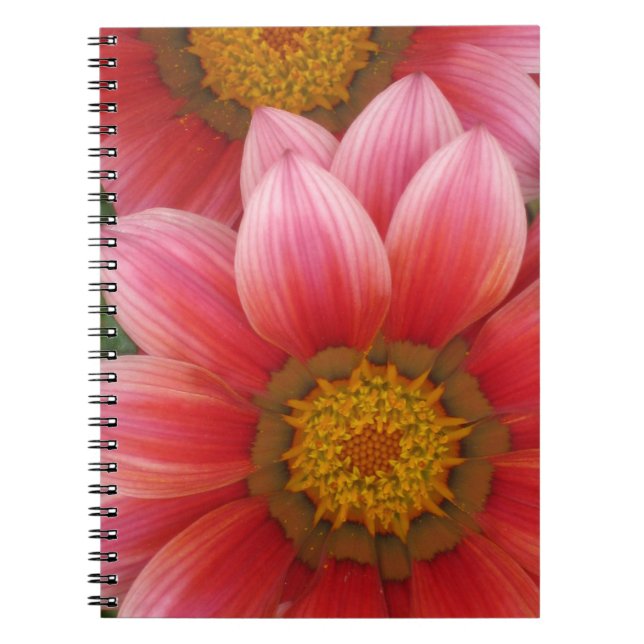 Carnet Daisy africain (Devant)
