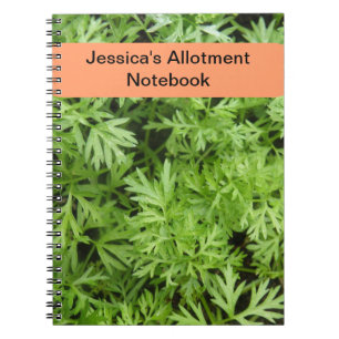 Carnet d'allocation de carottes