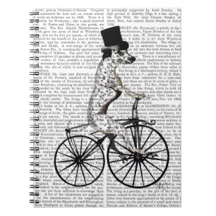 Carnet Dalmate sur la bicyclette 2