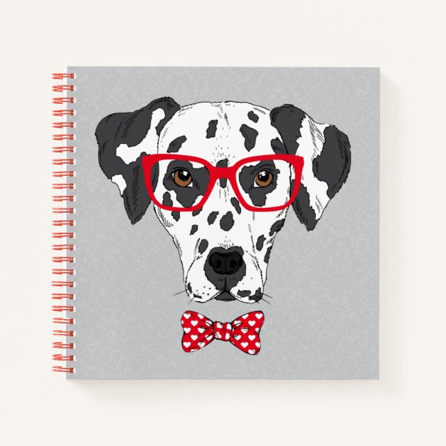 Carnet Dalmatie à la mode (Devant)