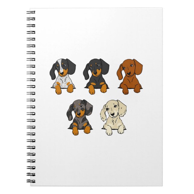 Carnet Dalmatien (Devant)