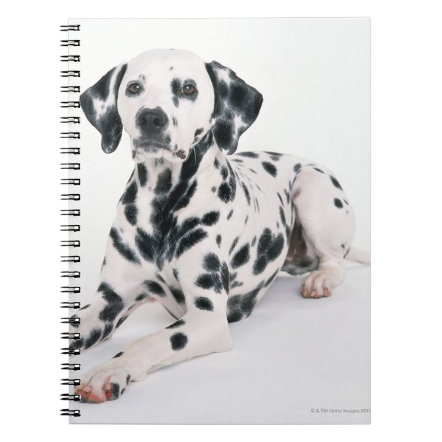 Carnet Dalmatien 4 (Devant)