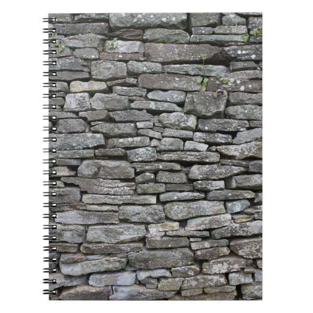 Carnet Damas baroque : Modèle floral de luxe (Devant)