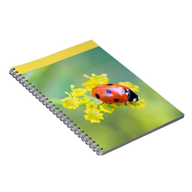 Carnet dame sur le dessus (Côté Droit)