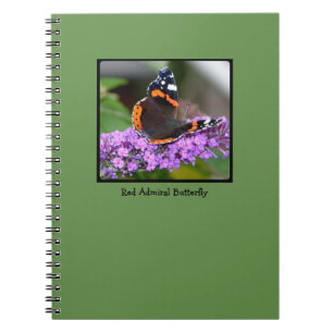 Carnet d'amiral assez rouge papillon