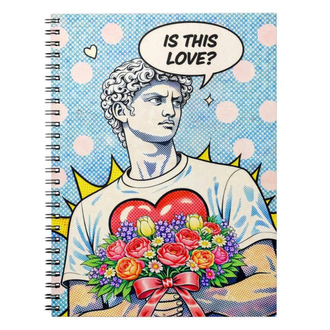 Carnet d'amour Funny Pop Art (Devant)