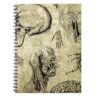 Carnet d'anatomie humaine vintage