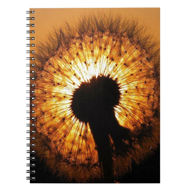 Carnet Dandelion at Sunset (Devant)