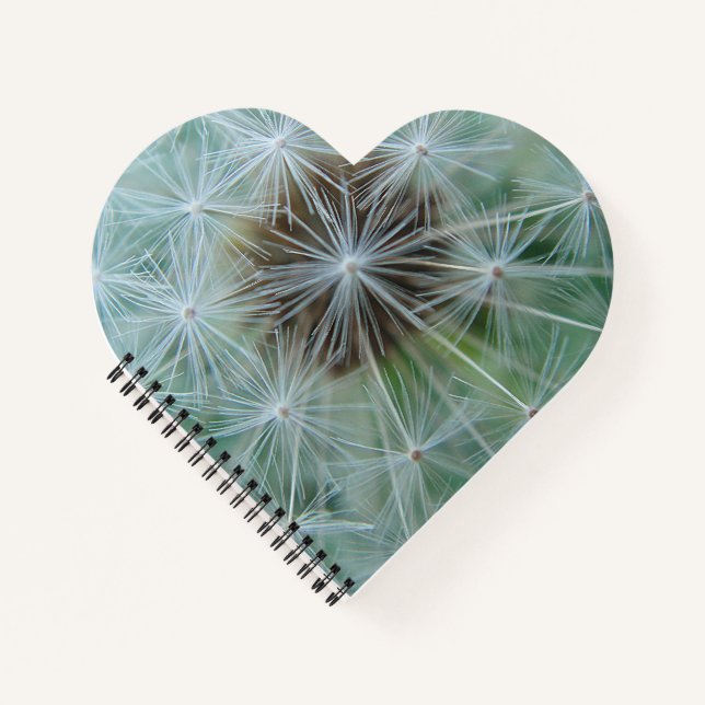 Carnet Dandelion blanc (Devant)