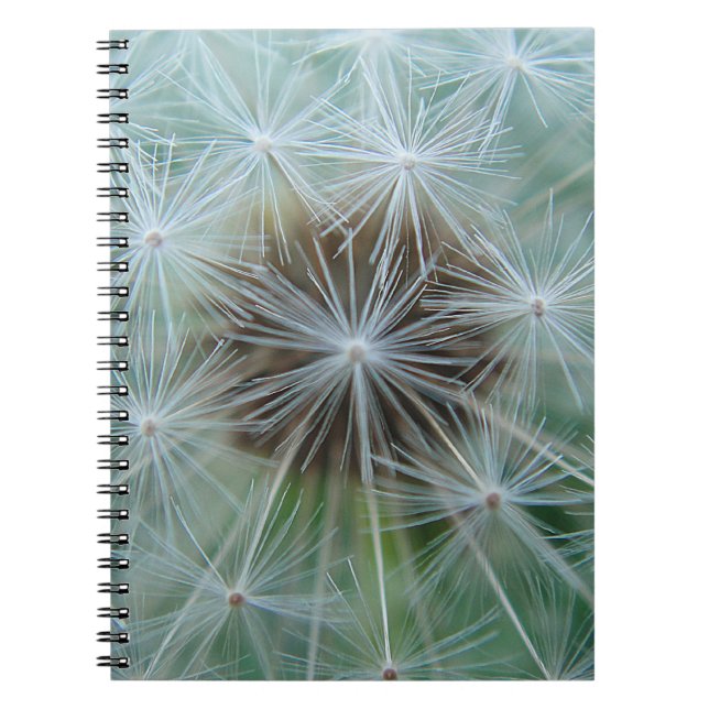 Carnet Dandelion blanc (Devant)