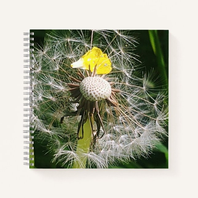 Carnet Dandelion mignon (Devant)