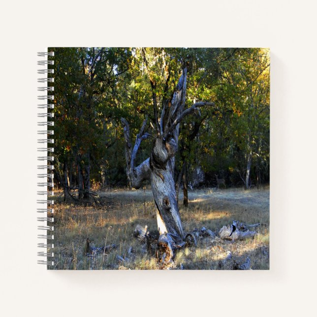 Carnet Dans la forêt.... (Devant)