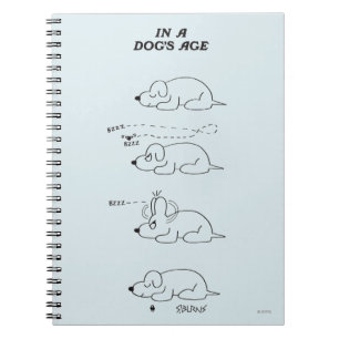Carnet Dans l'âge d'un chien