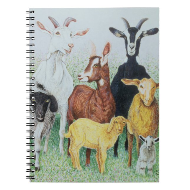 Carnet Dans le trèfle (Devant)