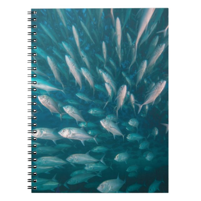 Carnet Dans les crics (Devant)