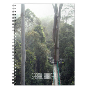 Carnet Danum Valley Borneo Rainforest Scene Travelogue