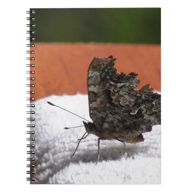 Carnet Dark Camouflage Butterfly (Devant)
