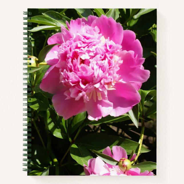 Carnet Dark rose peonies (Devant)