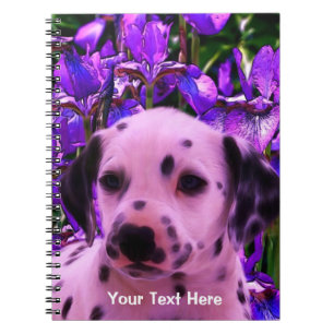 Carnet d'art de Chien Imaginaire dalmate