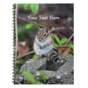 Carnet d'art naturel de Chubby Chipmunk