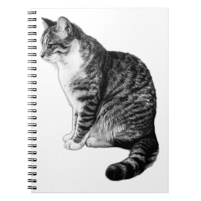 Carnet d'art Serene Striene Cat Ink (Devant)