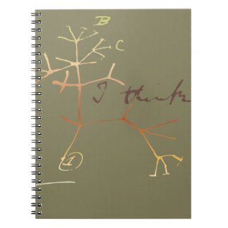 Carnet Darwin, je pense l'arbre à la vie